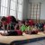 Bilder 2015 - INFO_Nachmittag