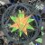 Bilder 2024 - Phaeno