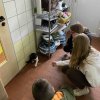 Tierschutz