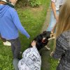 Tierschutz